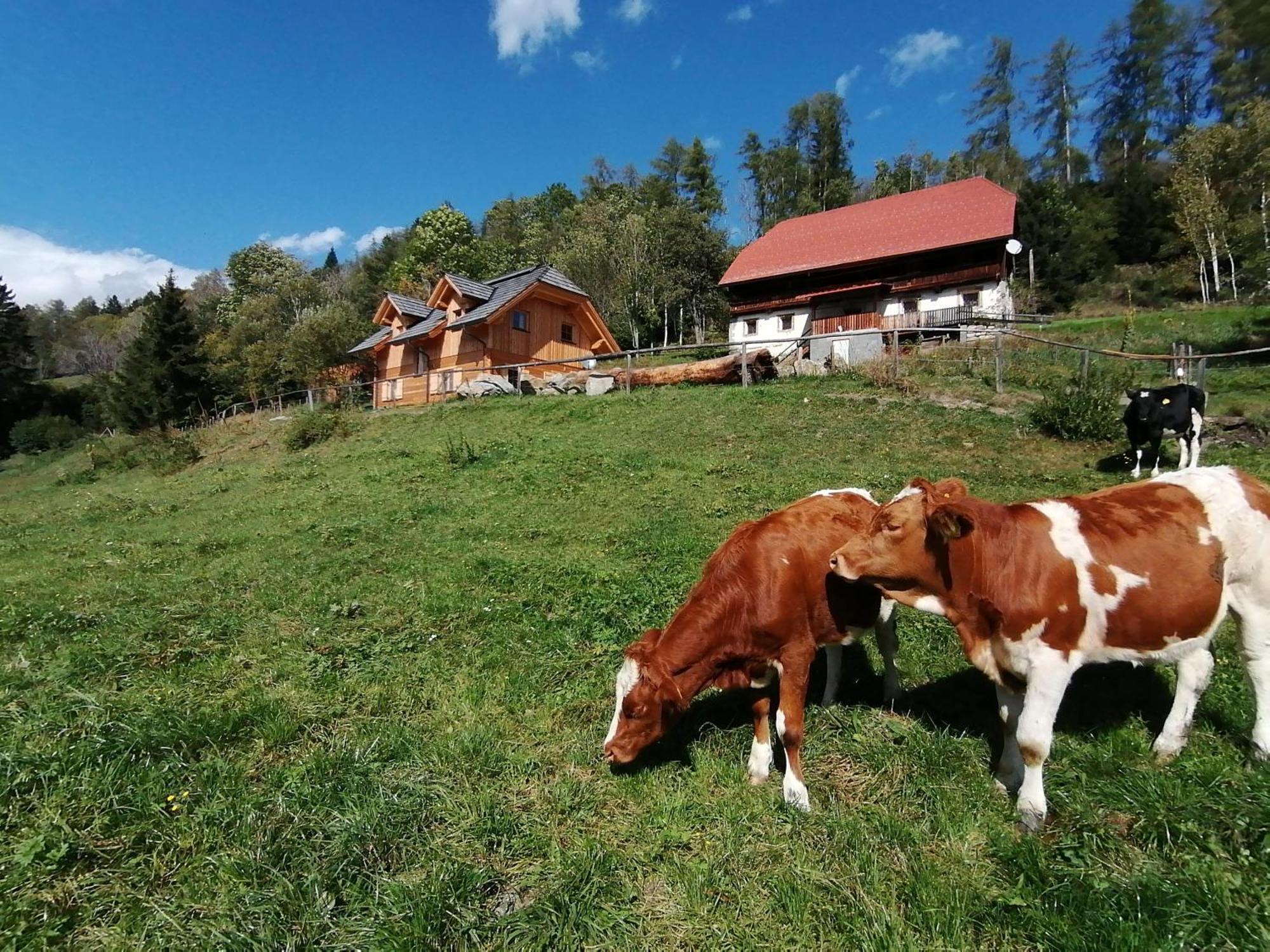 Laerchenhaus ,,Unterer Brodl" Villa Sankt Peter am Kammersberg ภายนอก รูปภาพ