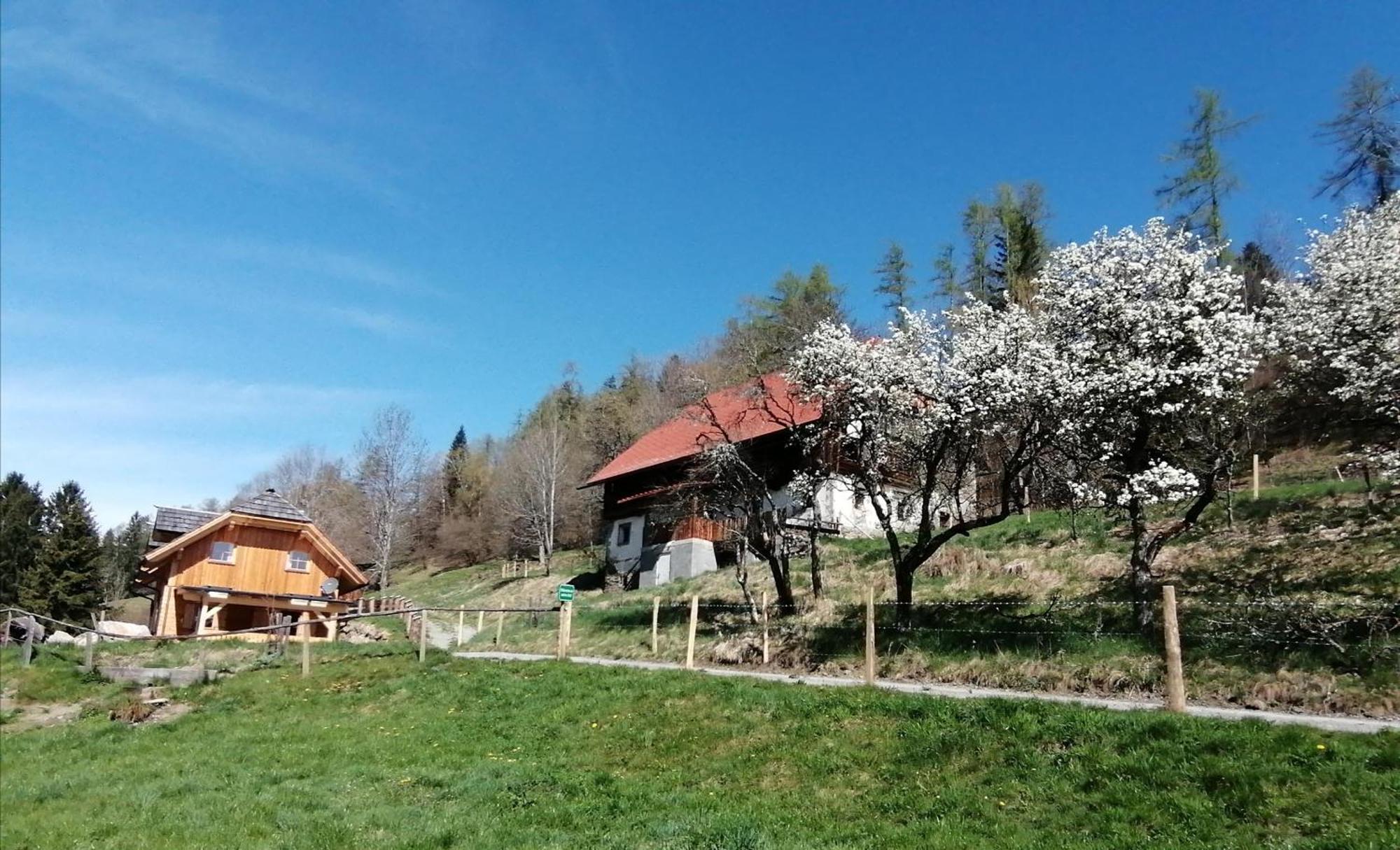 Laerchenhaus ,,Unterer Brodl" Villa Sankt Peter am Kammersberg ภายนอก รูปภาพ
