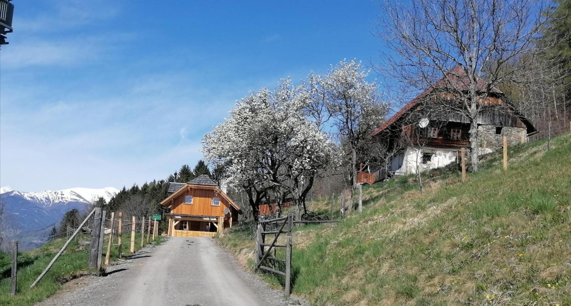Laerchenhaus ,,Unterer Brodl" Villa Sankt Peter am Kammersberg ภายนอก รูปภาพ