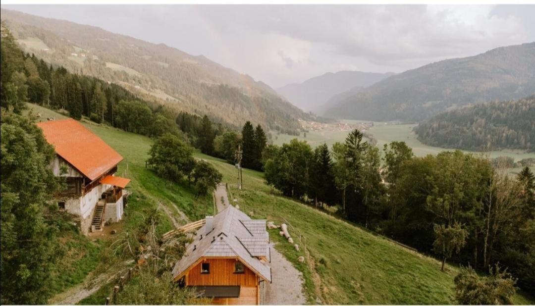 Laerchenhaus ,,Unterer Brodl" Villa Sankt Peter am Kammersberg ภายนอก รูปภาพ